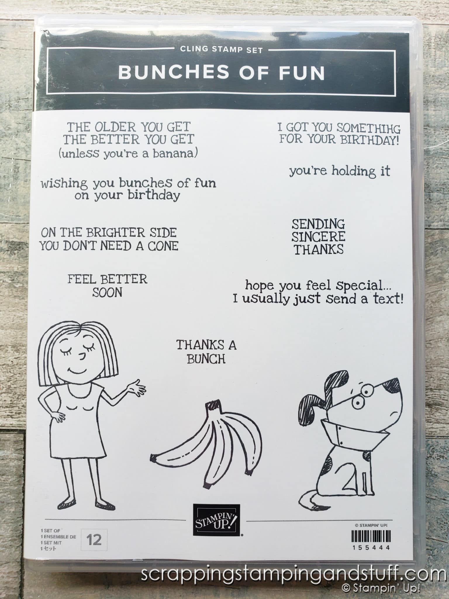 Triangle Fold Card Design Featuring Stampin Up Bunches Of Fun