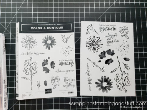 If you don't like Stampin Up's new stamp packaging, do this - it makes a huge difference! You'll be glad you did!