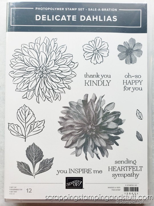 See three ways to create beautiful dahlia cards using the Stampin Up Delicate Dahlias stamp set! Plus details on Sale-a-braiton and Holiday Catalog ordering!