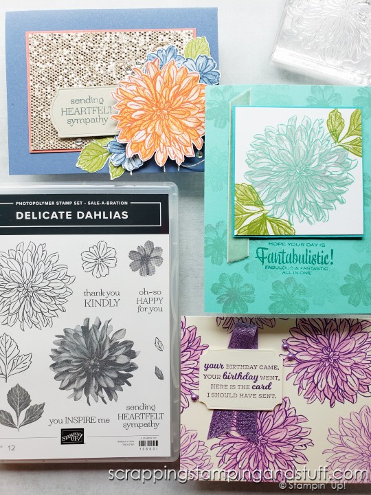 See three ways to create beautiful dahlia cards using the Stampin Up Delicate Dahlias stamp set! Plus details on Sale-a-braiton and Holiday Catalog ordering!