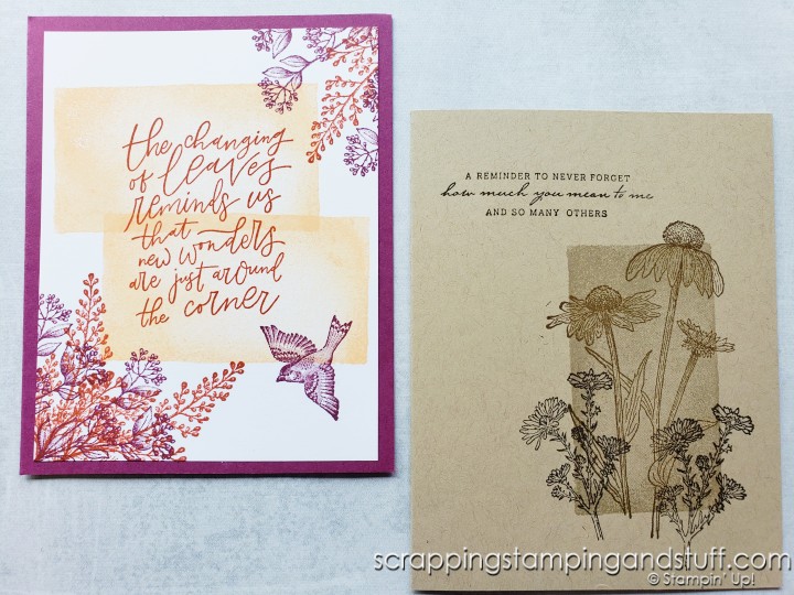 Make these quick and easy one-layer cards today using the Stampin Up Watercolor Shapes stamp set!