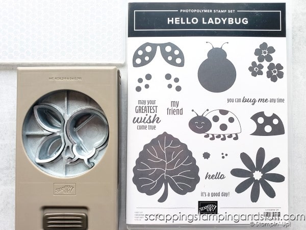 Make this quick and simple fun fold card design using the Stampin Up Hello Ladybug stamp and punch bundle