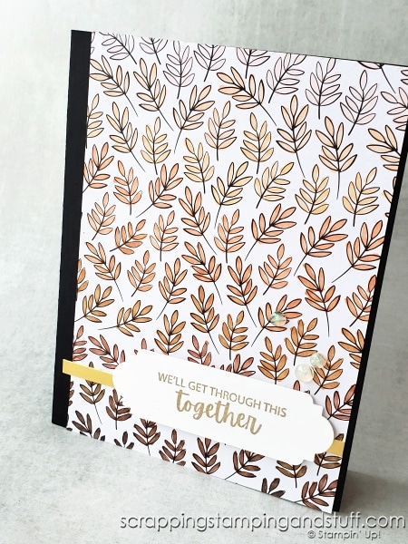 Take a look at the Stampin Up All Together collection and new skin tone Blends alcohol markers. See 6 ways to color on designer paper and 6 different card samples.