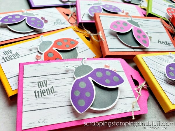 Create these Ghiradelli treat holders quickly and easily using tips I'll share for creating several at once. Features Stampin Up Hello Ladybug bundle.