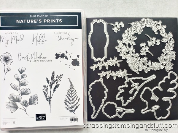 Make this gorgeous card design using the Stampin Up Nature's Prints bundle from the 2022-2023 annual catalog.