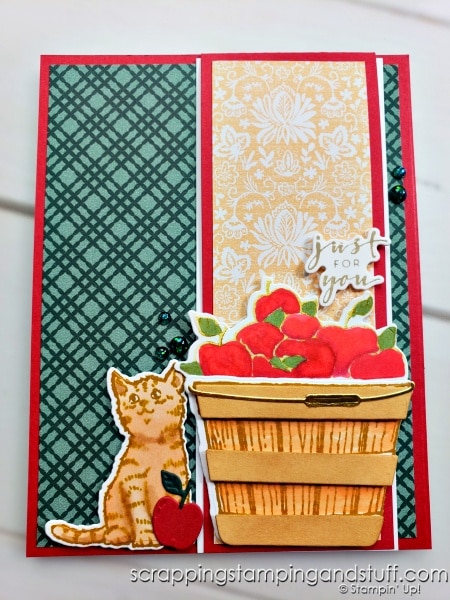 Stampin Up Cheerful Basket Cat and Apple Teacher Fun Fold Card