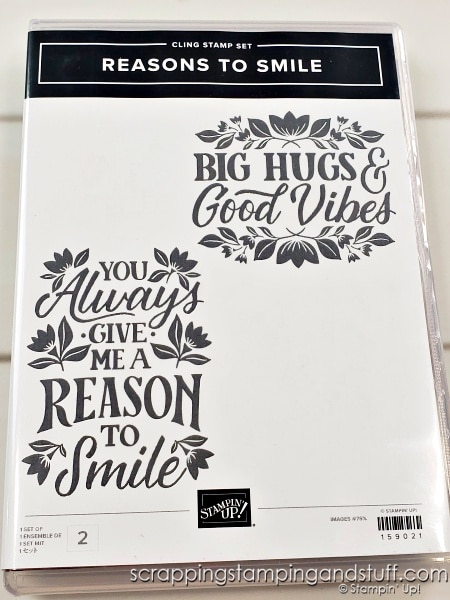 See 10 Ways to use alcohol marker backgrounds on your card projects! Using Stampin Up Nature's Moments and Reasons To Smile stamp sets.