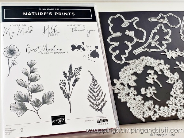 See 10 Ways to use alcohol marker backgrounds on your card projects! Using Stampin Up Nature's Moments and Reasons To Smile stamp sets.