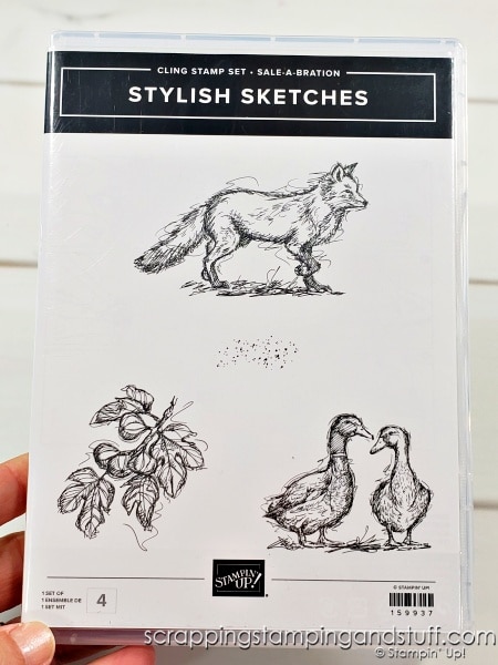 Click to see 3 simple ways to personalize your designer papers, plus highlights of Sale-a-bration 2022 free product options! Stampin Up Stylish Sketches, Amazing Phrasing, Hippest Hippos, and more.