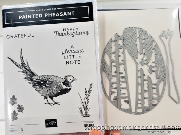 Click to see this pastel dabbing technique for your card making projects. Samples feature the Stampin Up Painted Pheasant and Soft Seedlings stamp sets.