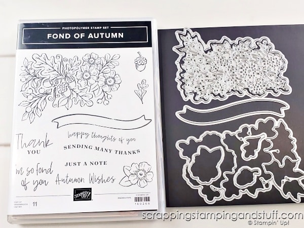 Create stunning cards with embossing paste and embossing folders. Make these cards with the Stampin Up Fond Of Autumn Bundle!