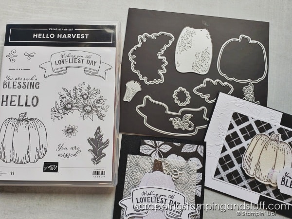 Make your cards POP with black and white! Simple fun fold card design, how to see both sides of your designer papers, and the Stampin Up Rustic Harvest bundle.