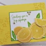 Stampin Up Sweet Citrus - Stampin Up 2023 New Product Previews
