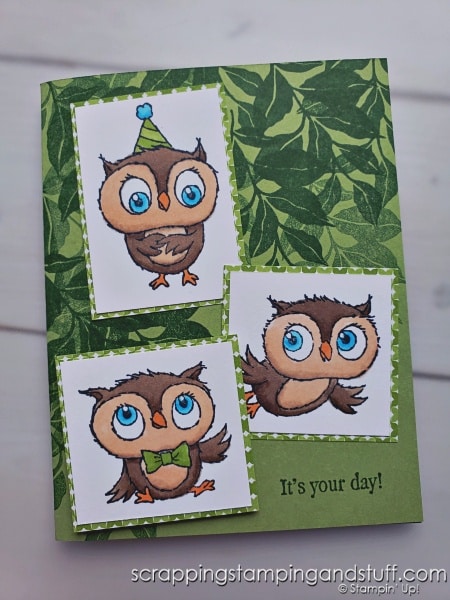 4 simple card layouts and 4 quick ways to color outline stamps! Take a look at these card ideas featuring the Stampin Up Adorable Owls stamp set!