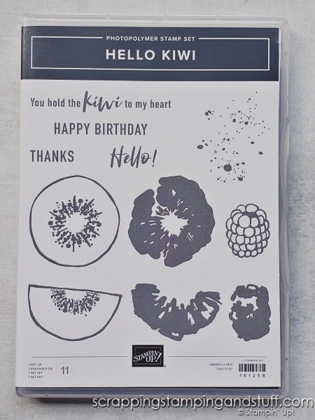 Click to see a simple shadow stamping technique using white ink, which also allows you to stamp on colored cardstock and get a true color result! Cards feature the Stampin Up Hello Kiwi stamp set.