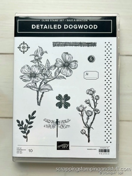 Stampin Up Sale-a-bration 2024 - Free Gift With $100 Purchase Detailed Dogwood Stamp Set
