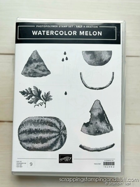 Stampin Up Sale-a-bration 2024 - Free Gift With $50 Purchase Watercolor Melon Stamp Set
