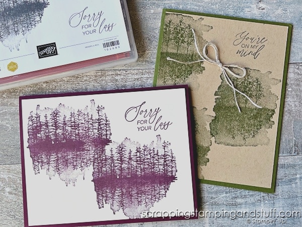 Create these SIMPLE card ideas in just 1 or 2 minutes! Click for 14 ideas using Stampin Up Quiet Reflection and more