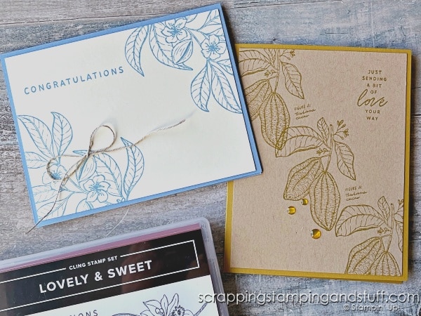 Create these SIMPLE card ideas in just 1 or 2 minutes! Click for 14 ideas using Stampin Up Quiet Reflection and more