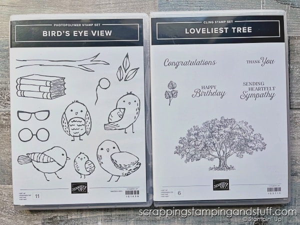 Click for 5 paper-saving tricks to save you money on your card making supplies! Adorable card samples feature the Stampin Up Bird's Eye View stamp set.