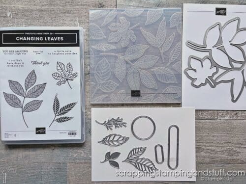 Stampin Up Changing Leaves & 12 Cards In 30 Minutes