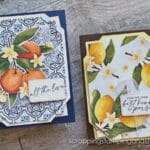 Click for a trick for making fancy corners on your card project! Try this on your next handmade card. Ideas feature the Stampin Up Citrus Blooms bundle.