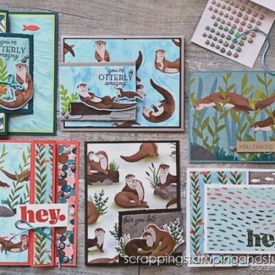 Stampin Up Otterly Amazing & DIY Fun Fold Card Ideas!