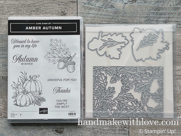 Click here to see 5 different ways to use one die cut - from simple to advanced. Try these techniques on your card projects! Samples feature the Stampin Up Amber Autumn bundle.