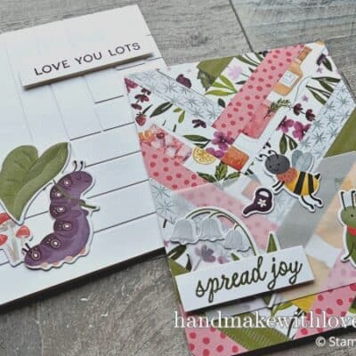 Stampin Up Sweet Bugs & Paper Scrap Card Ideas