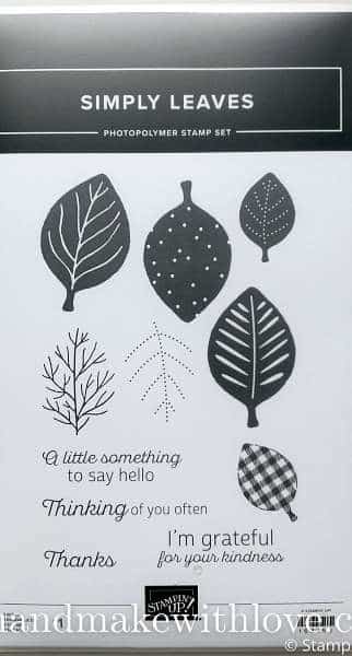 Check out this awesome card design using a fun punch trick! Features the new Stampin' Up! Simply Leaves stamp and punch bundle.